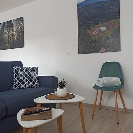 Chalet Kelly, Centre Ville / Jacuzzi / Sauna Gérardmer Εξωτερικό φωτογραφία