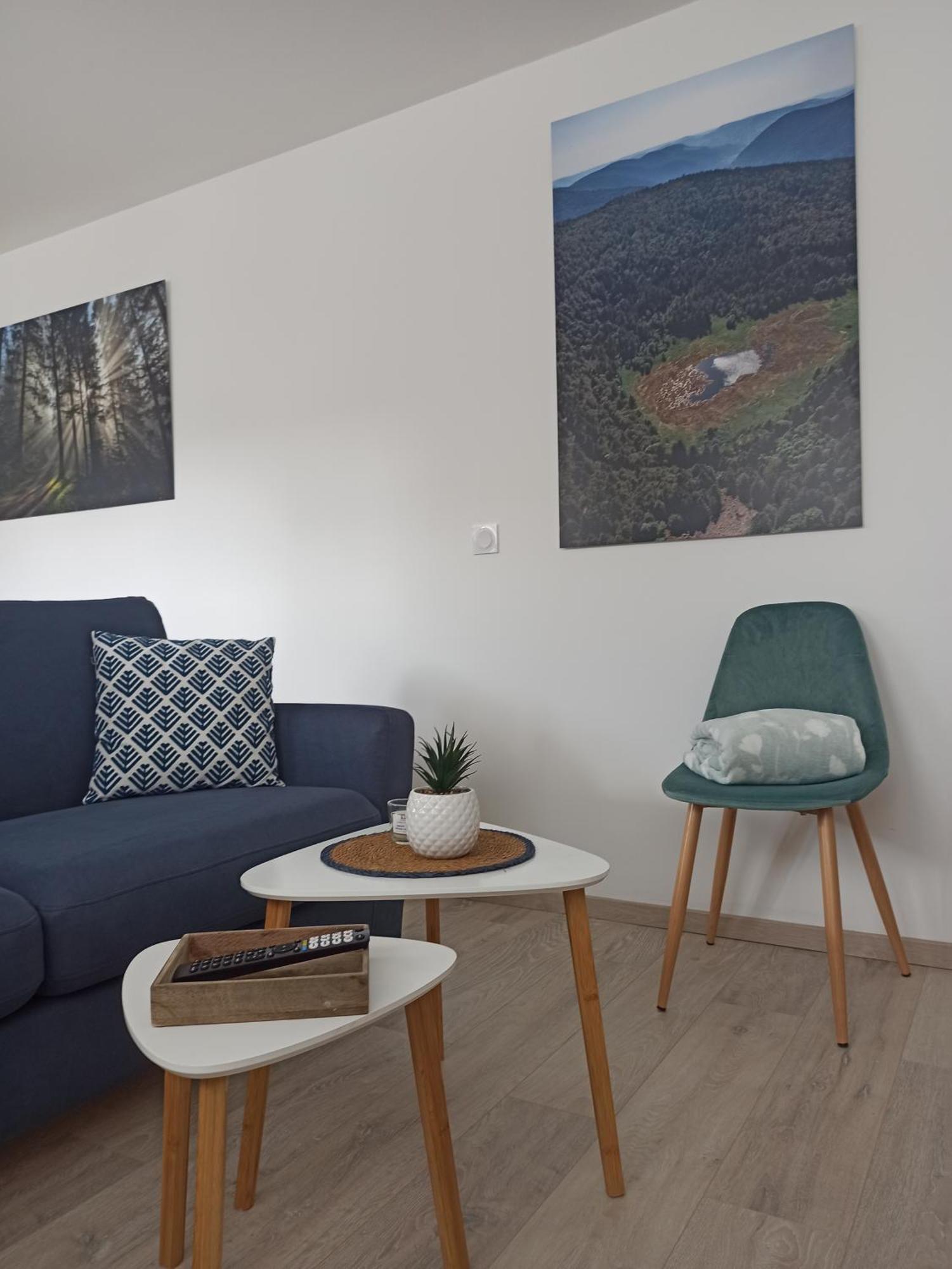 Chalet Kelly, Centre Ville / Jacuzzi / Sauna Gérardmer Εξωτερικό φωτογραφία